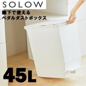 ゴミ箱 45リットル SOLOW（ソロウ） ペダルオープンツイン45L risu 