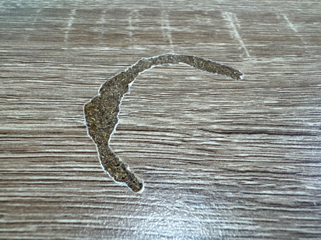 レビュー画像