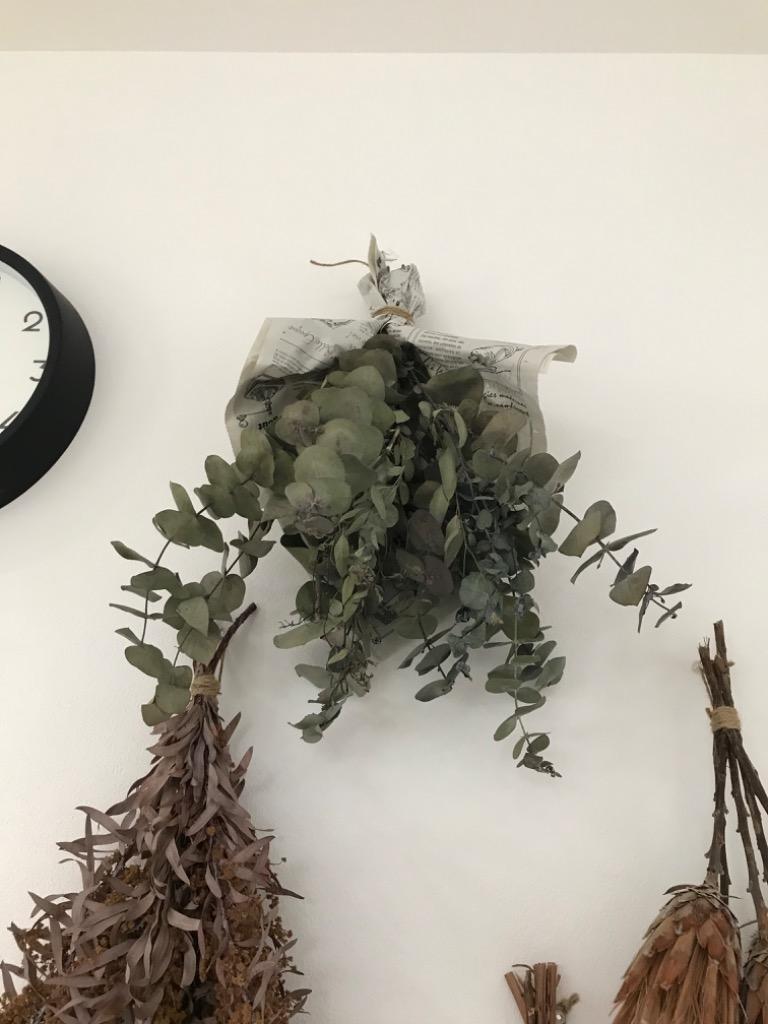 ドライフラワースワッグかすみ草とユーカリのセット : あとりえ・悠然