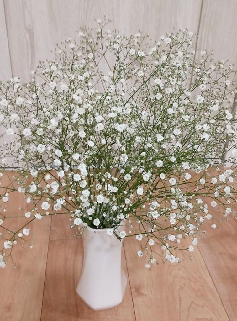 かすみ草です。他の方は購入をお控えください。 SMLS-01：草木花 （ソウモッカ） 押し花のレターセット ガーデン