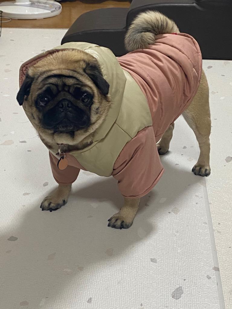 1件目のレビュー画像 | 0