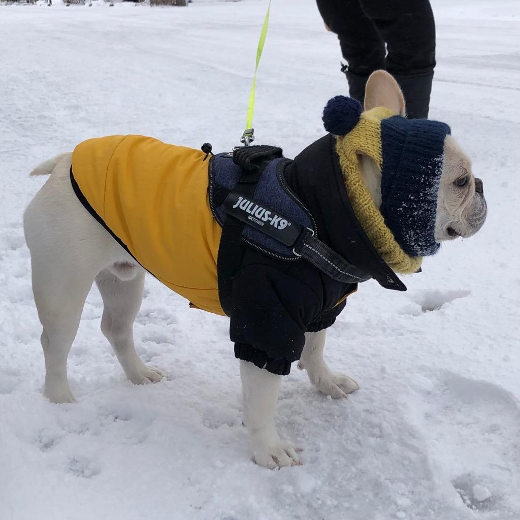 5件目のレビュー画像 | 0