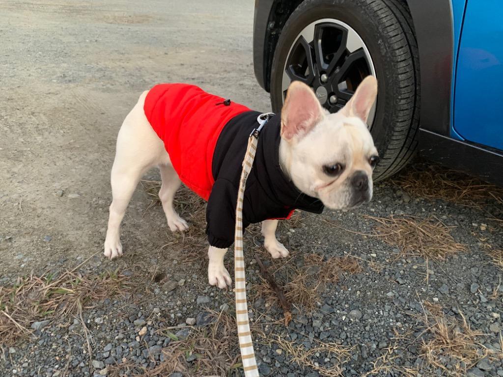 1件目のレビュー画像 | 1