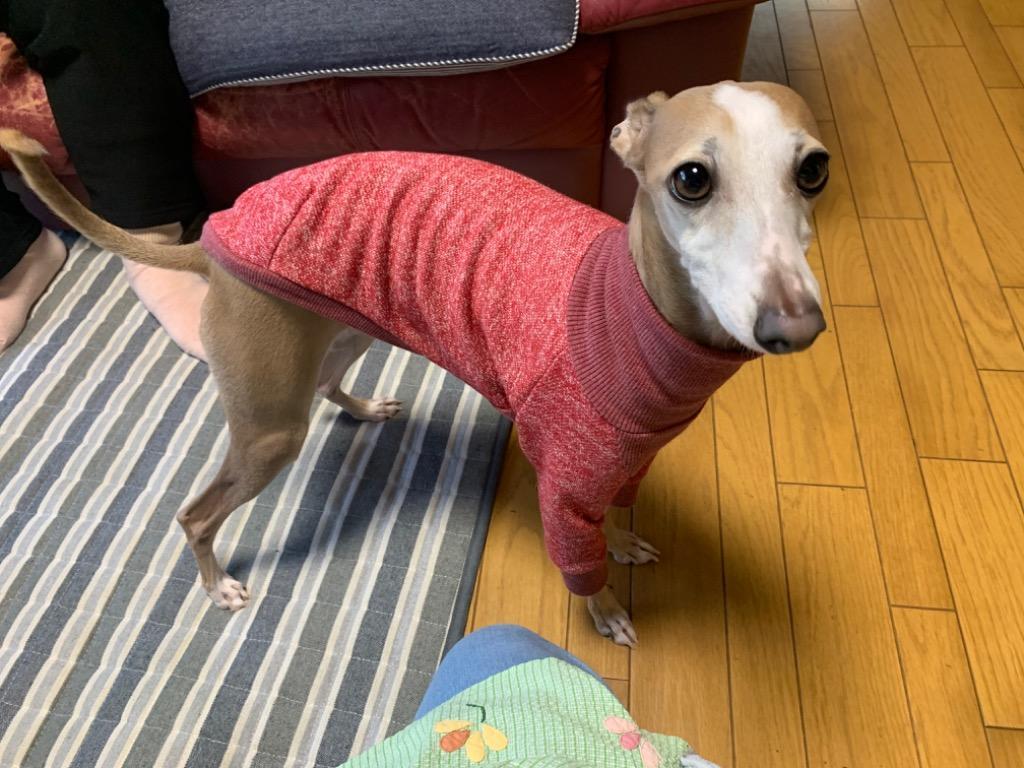 イタグレ 服 霜カラー ロングスリーブ スウェット イタリアングレー