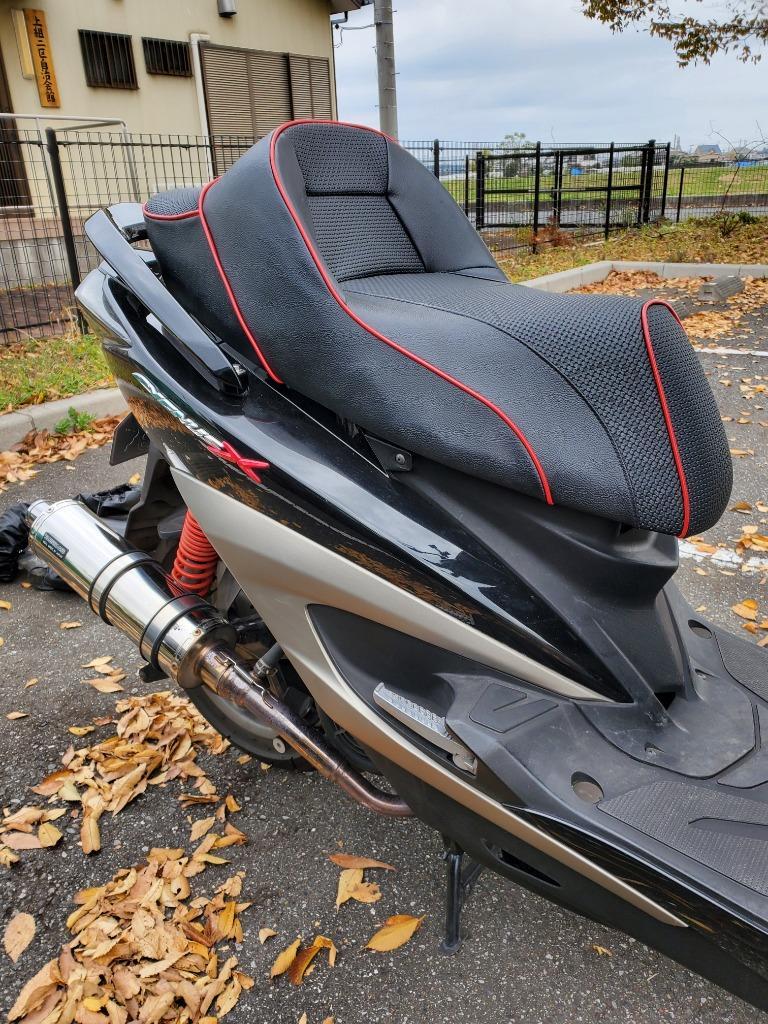 ファインクエスト DCR 3RDシグナスX CYGNUS X 250タイプ バック