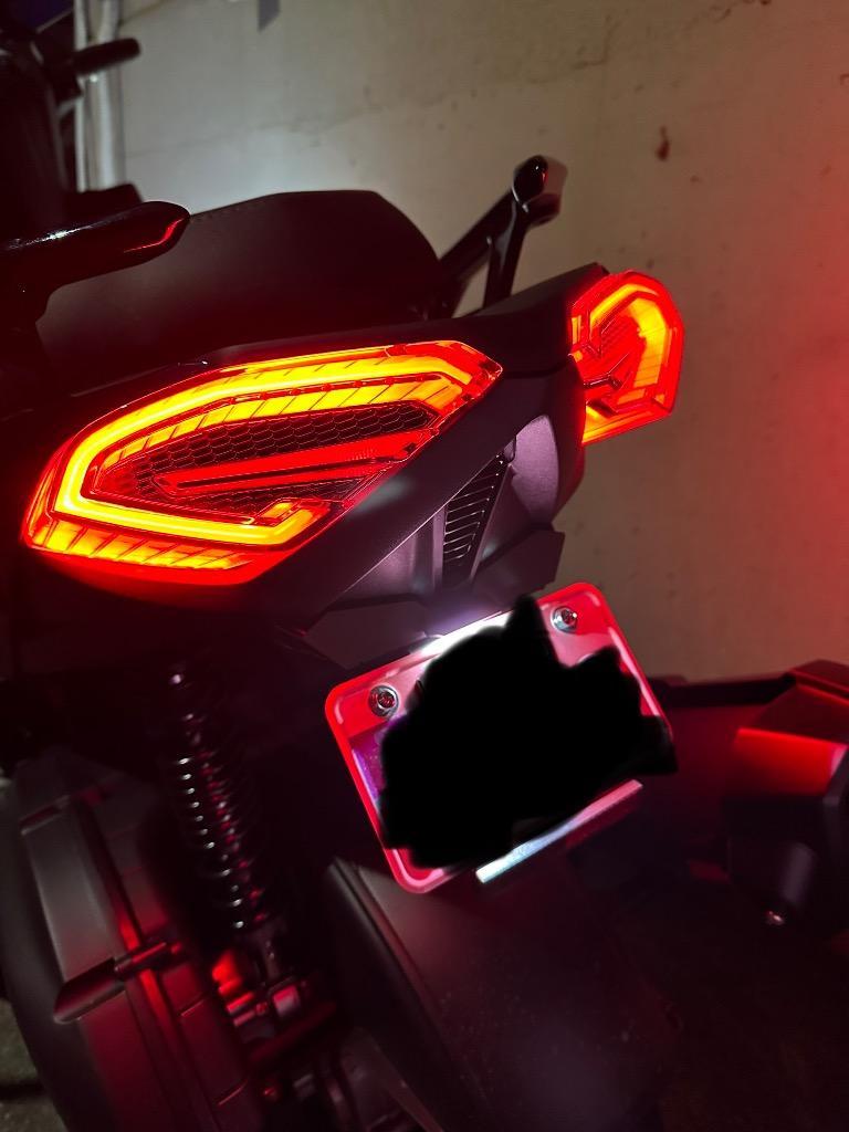 AJ6 CYGNUS GRYPHUS シグナスグリファス LED シーケンシャルウィンカー