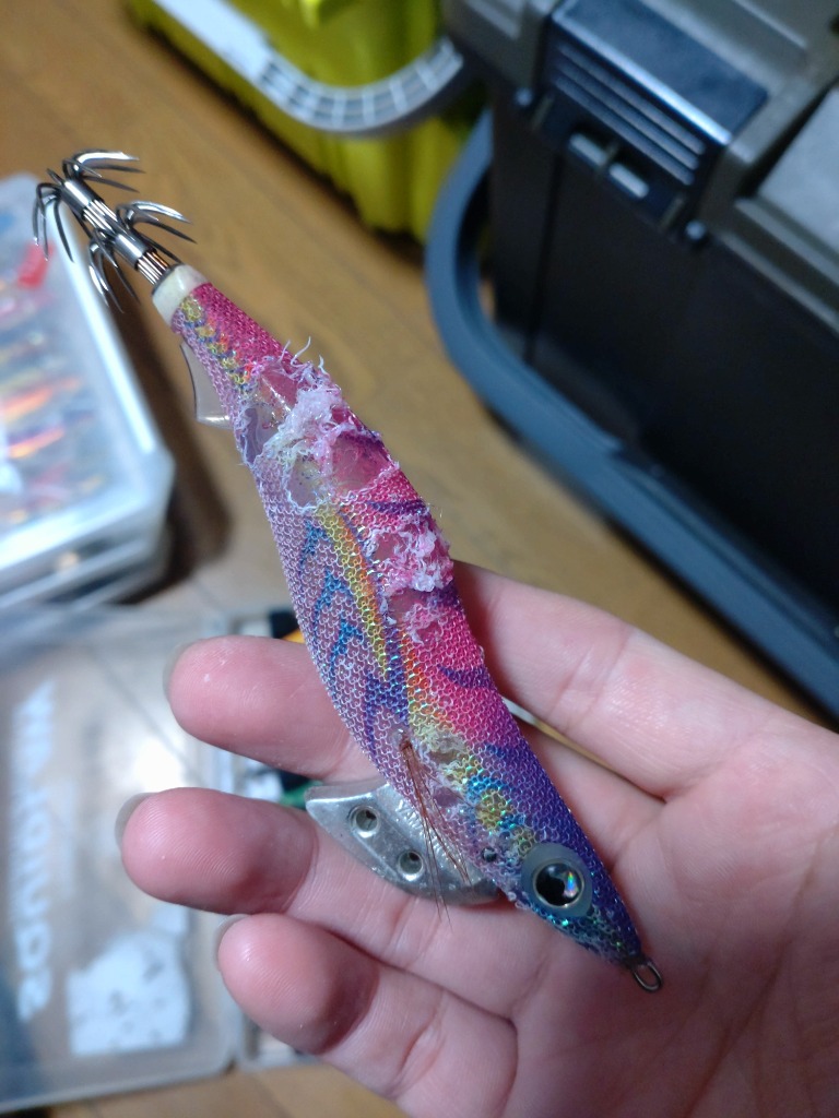 ヤマシタ エギ王 K 3.5号 005)ムラムラチェリー : 釣具