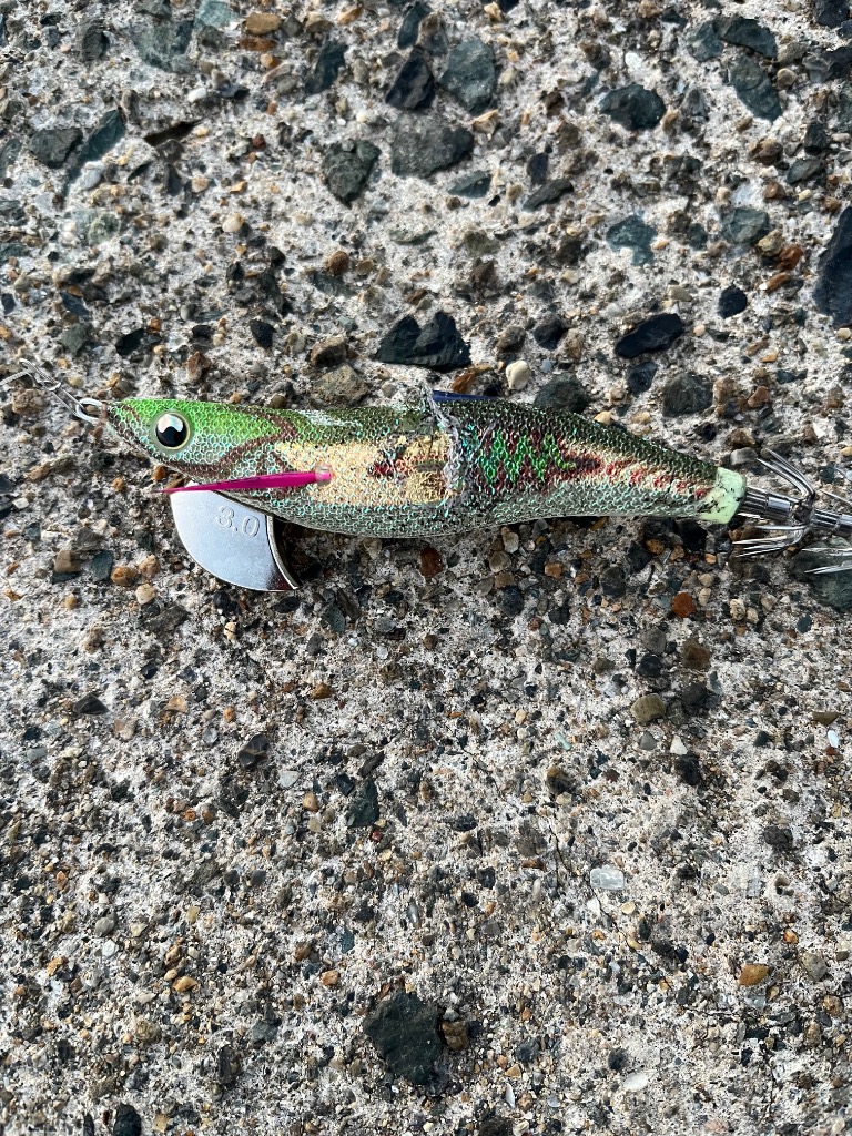 YAMASHITA（ヤマシタ） エギ王SEARCH(サーチ) 3.0号 077 オリーブ