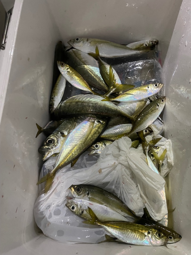 1件目のレビュー画像 | 0