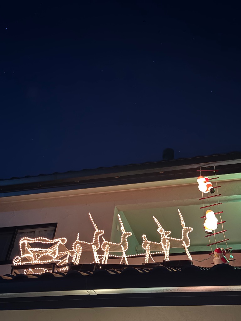 1件目のレビュー画像 | 2