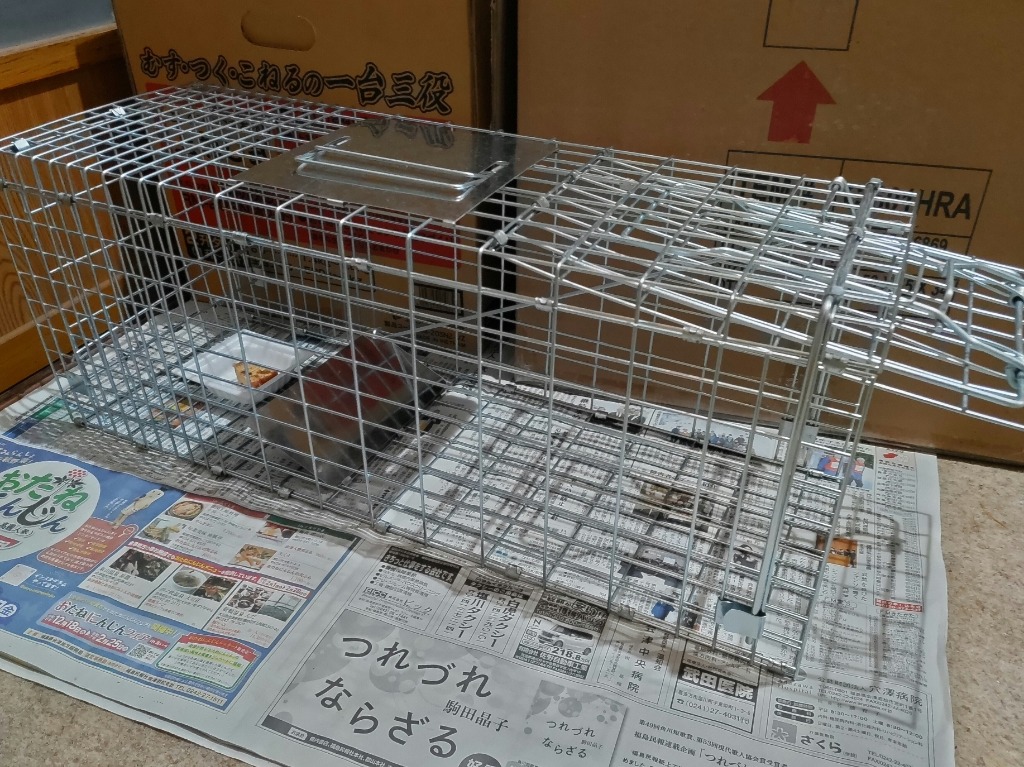全体のレビュー画像 | 0-1