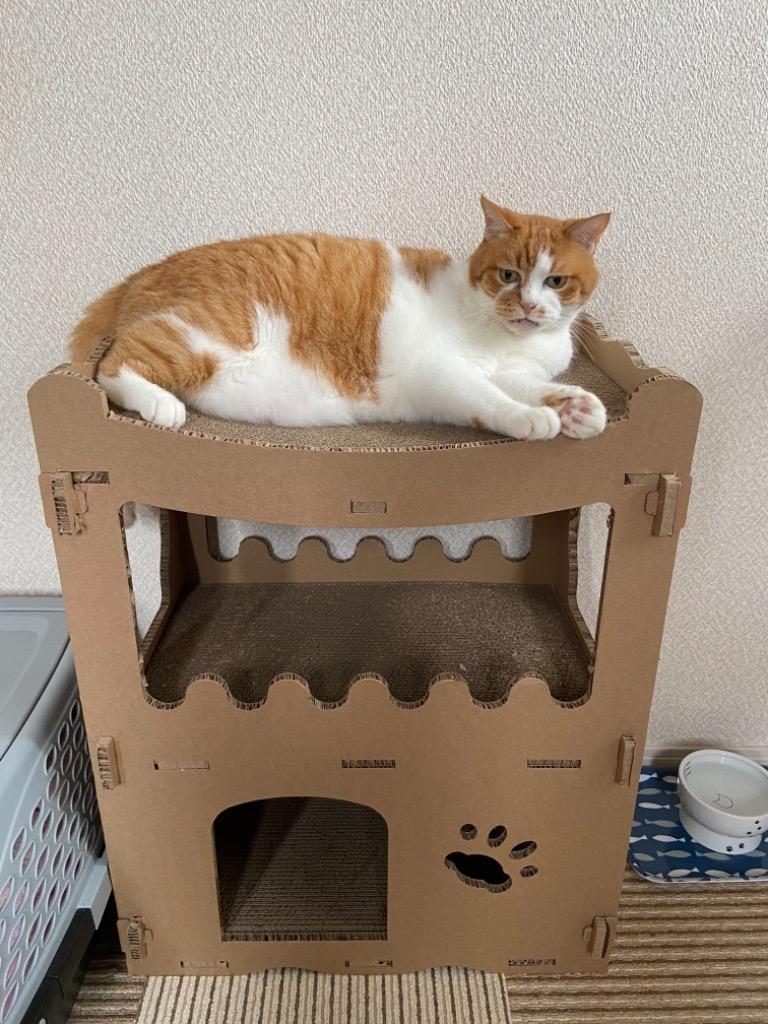楽天市場】【送料無料】猫用 段ボールボックスハウス