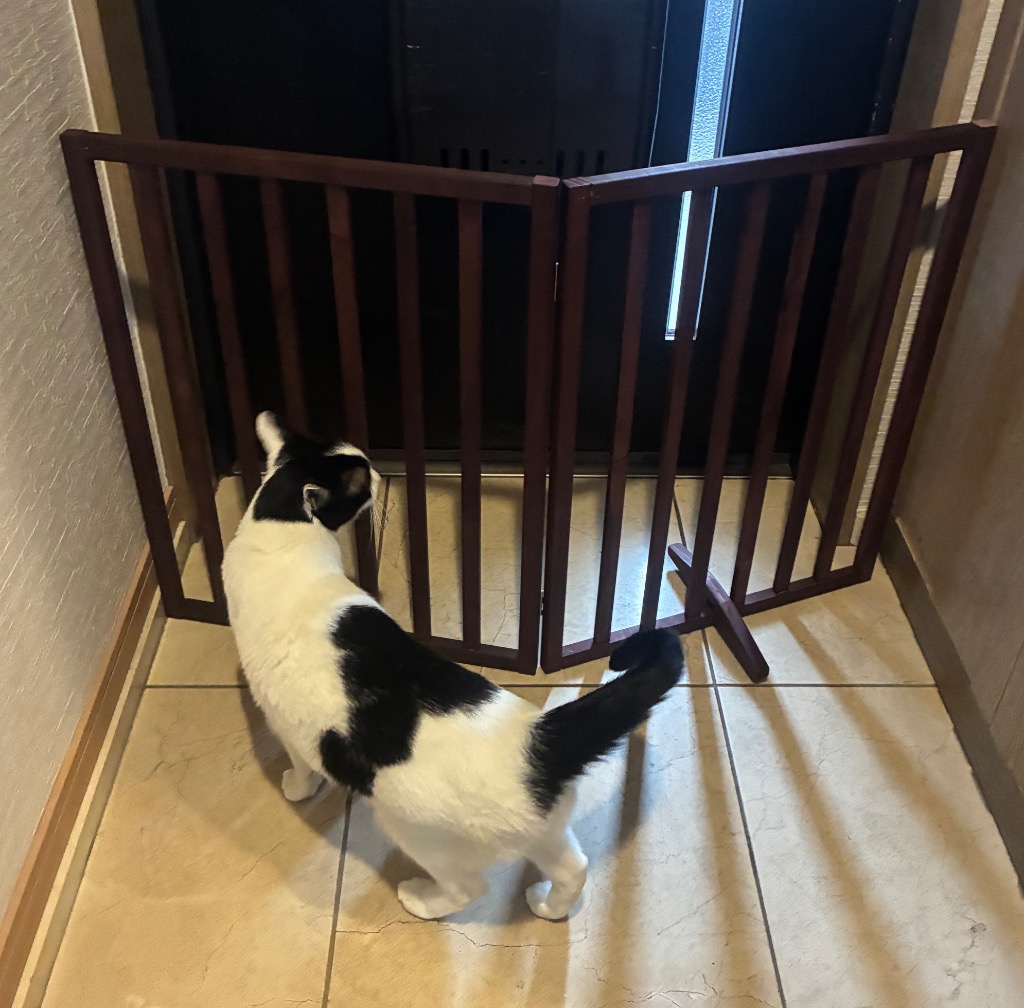 ペットゲート 置くだけ 高さ60cm ペットフェンス 犬 柵 猫 ペット