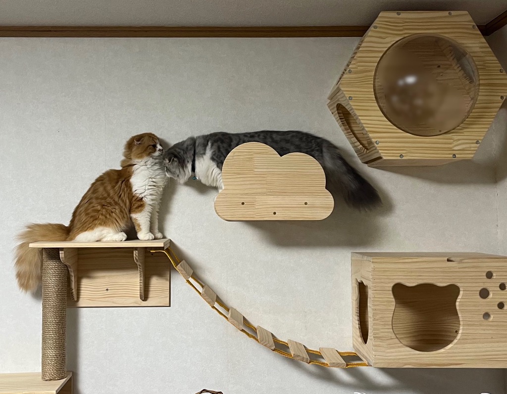 キャットタワー キャットウォーク 猫タワー 木製 キャット キャットタワー キャットウォーク 猫タワー 木製 キャット