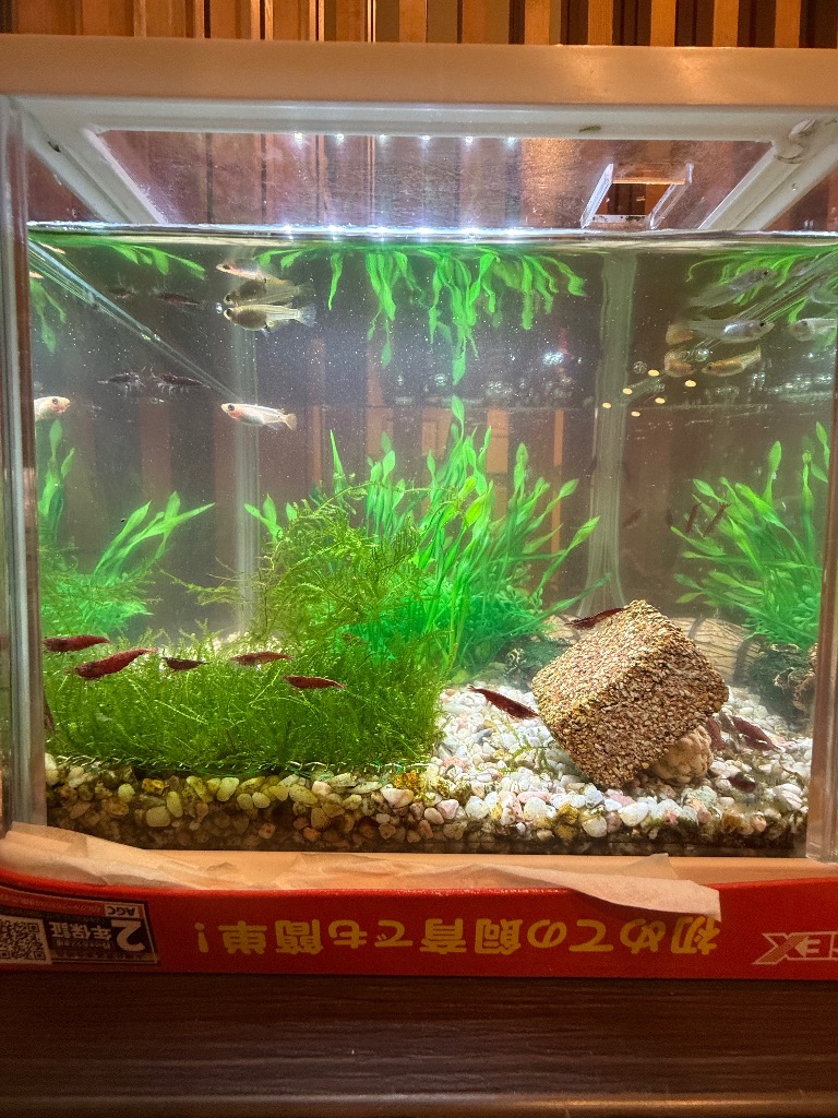 全体のレビュー画像 | 1-0