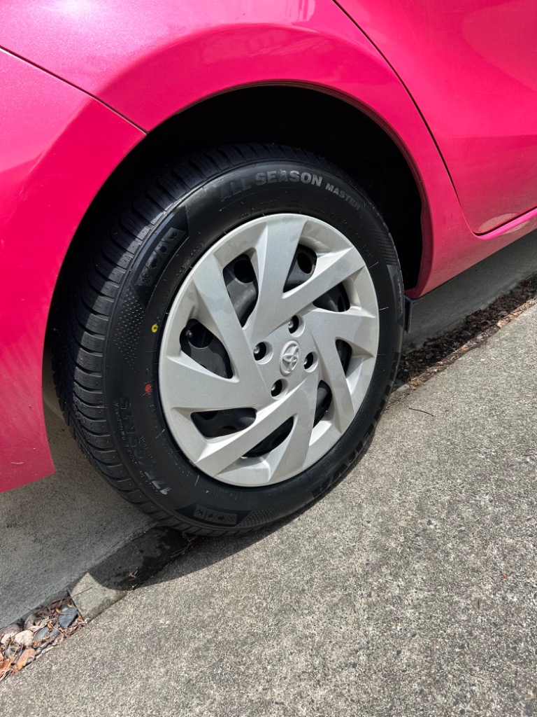 MINERVA（ミネルバ） タイヤ オールシーズンタイヤ 175/65R15 MINERVA