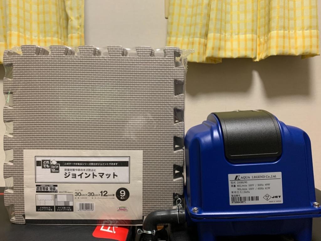 Air Mac DH80/90 風量 80 90 エアーポンプ 浄化槽ブロワー