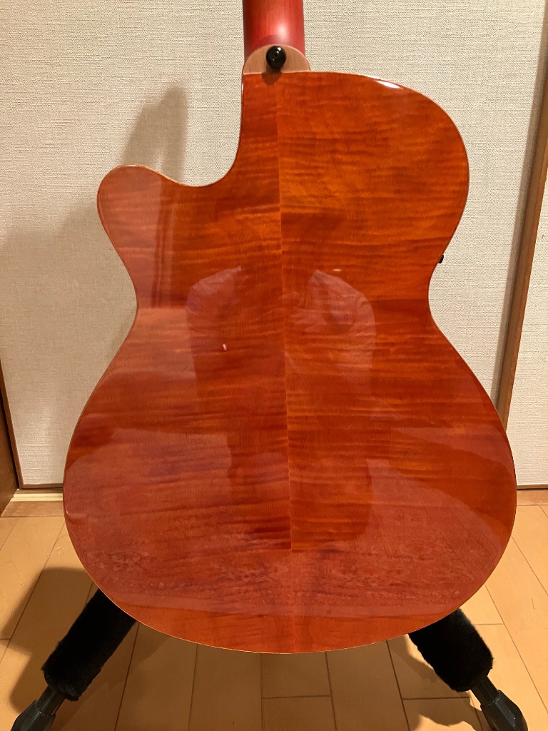 ARIA（楽器） ARIA FET-F2 BSG Fホールエレアコ