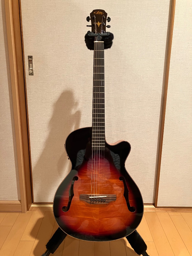 ARIA（楽器） ARIA FET-F2 BSG Fホールエレアコ