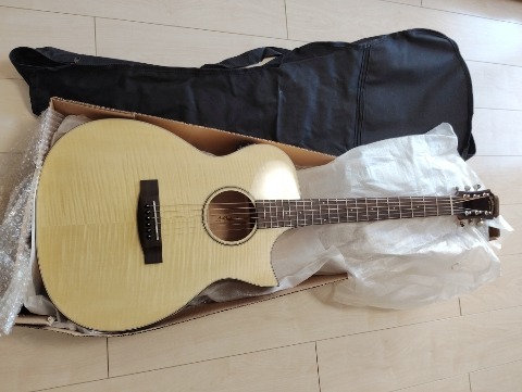 Aria Dreadnought AF-107CE FMN エレアコ AF-107CE FMN | 100 series | Products | ARIA 荒井貿易株式会社