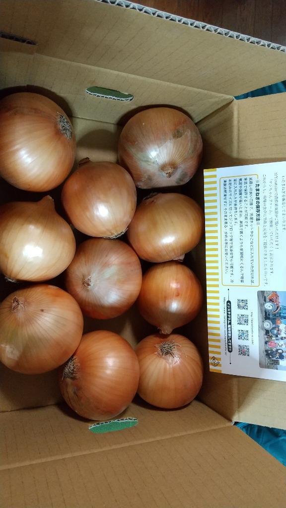 信州産紅玉ねぎお箱込み五キロ Amazon.co.jp: 名手農園 淡路島 赤玉ねぎ 訳あり 2025年産 赤