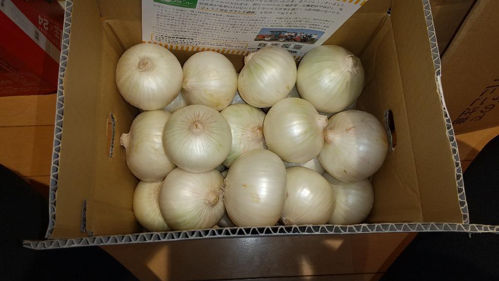 希少品種 淡路島 白玉ねぎ 5キロ 送料無料 ケンちゃんファーム