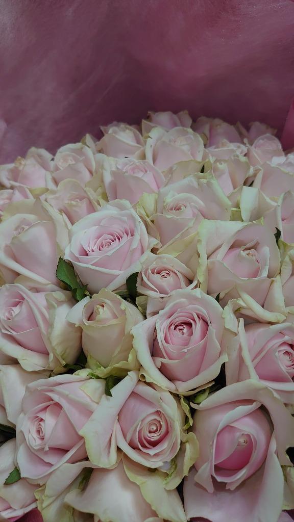 バラの花束 50本入り ピンク系 アヤハディオネットショッピング 通販 Yahoo ショッピング