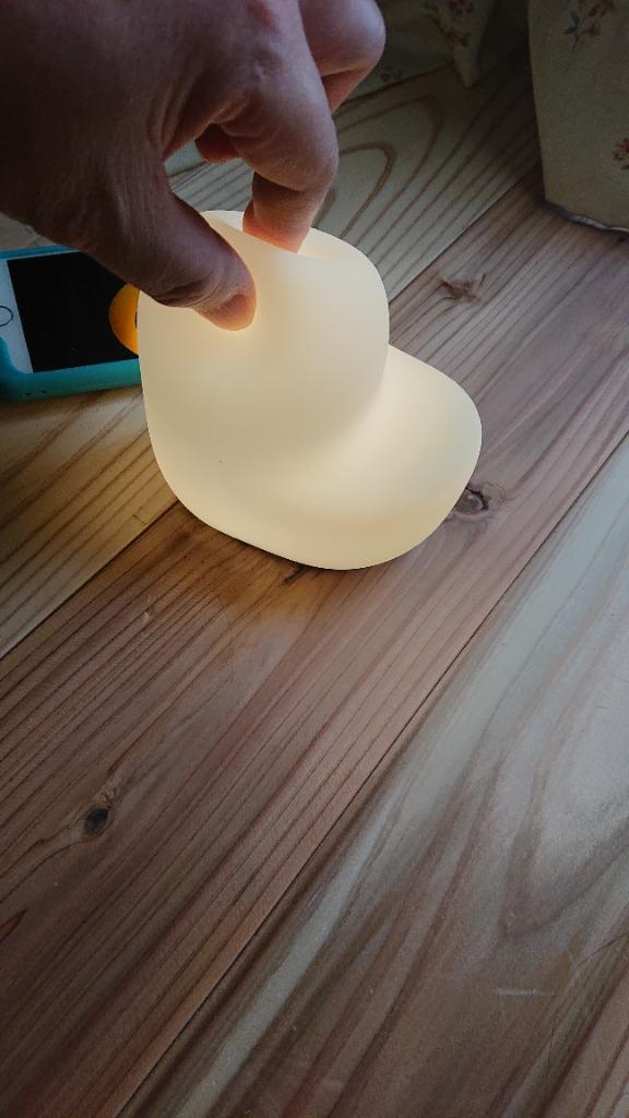 レビュー画像