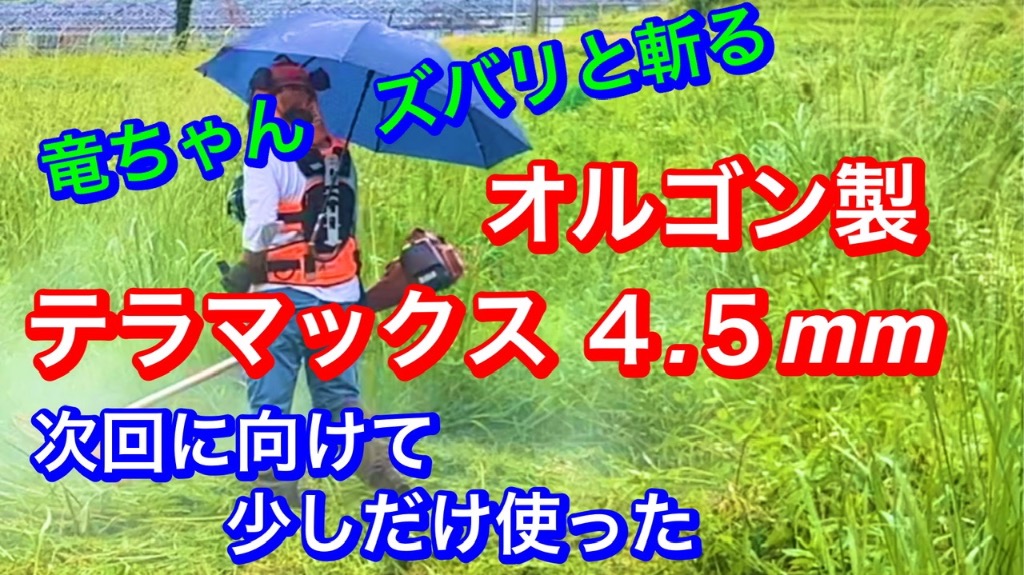 レビュー画像