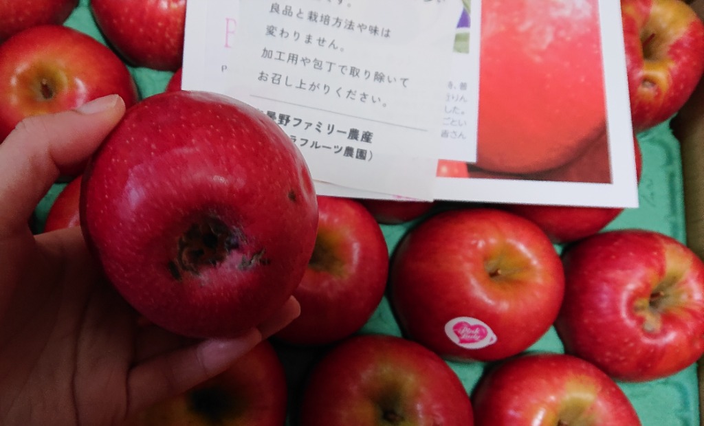7件目のレビュー画像 | 2