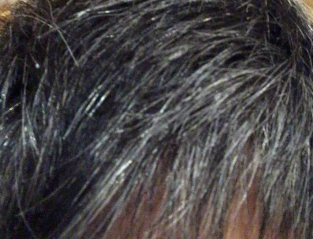 no3（NUMBER THREE） ナンバースリー ペルーラルーチェ ヘアマニキュア