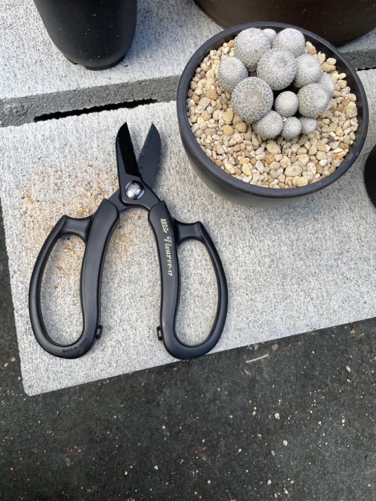 1件目のレビュー画像 | 0