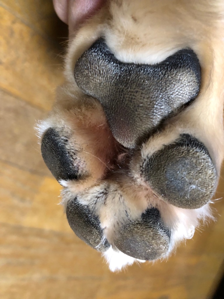 全体のレビュー画像 | 5-0