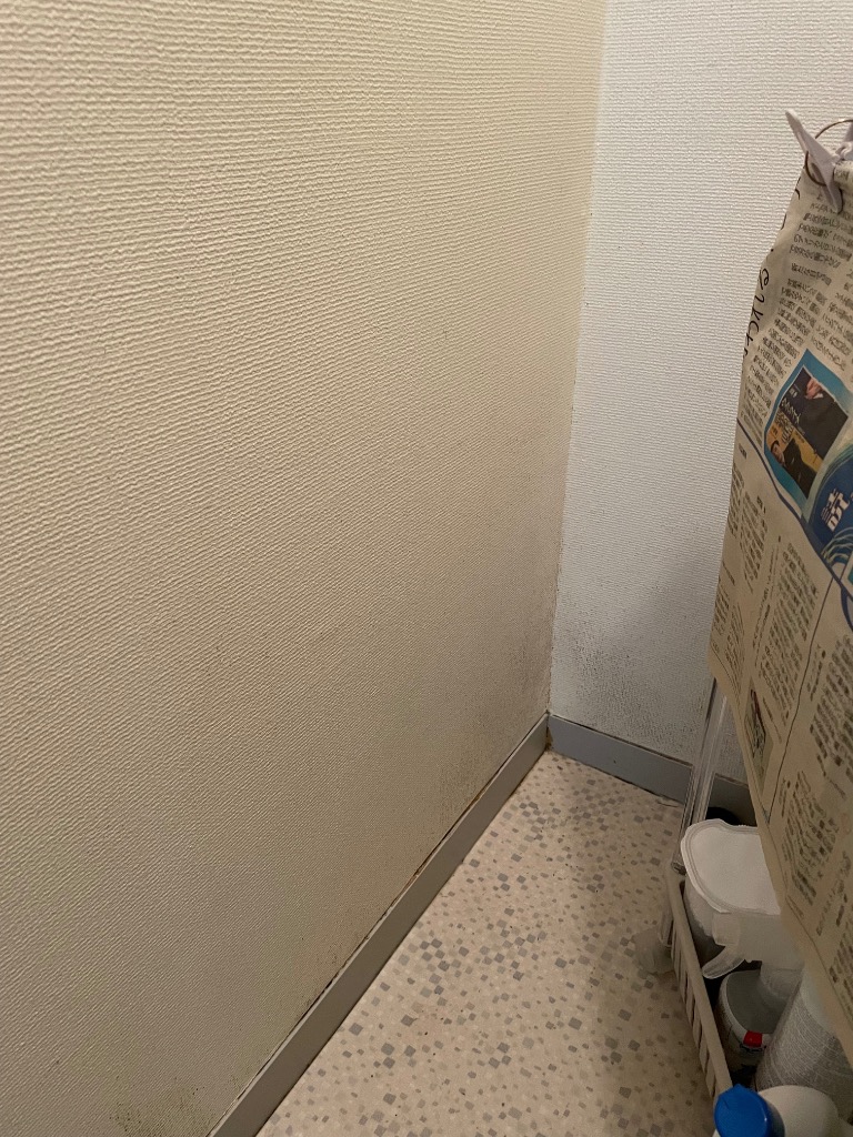 全体のレビュー画像 | 3-1