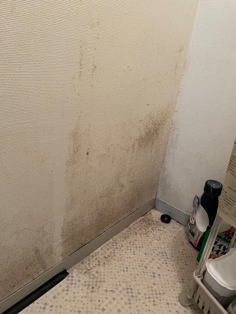 全体のレビュー画像 | 3-0