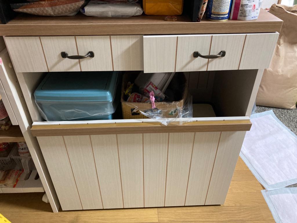 タカシン家具工業 在庫限り キッチンカウンター 収納 ゴミ箱