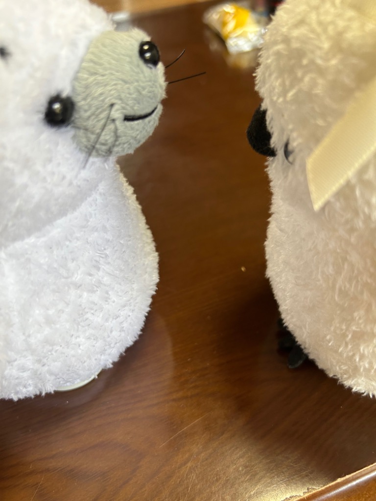 1件目のレビュー画像 | 0