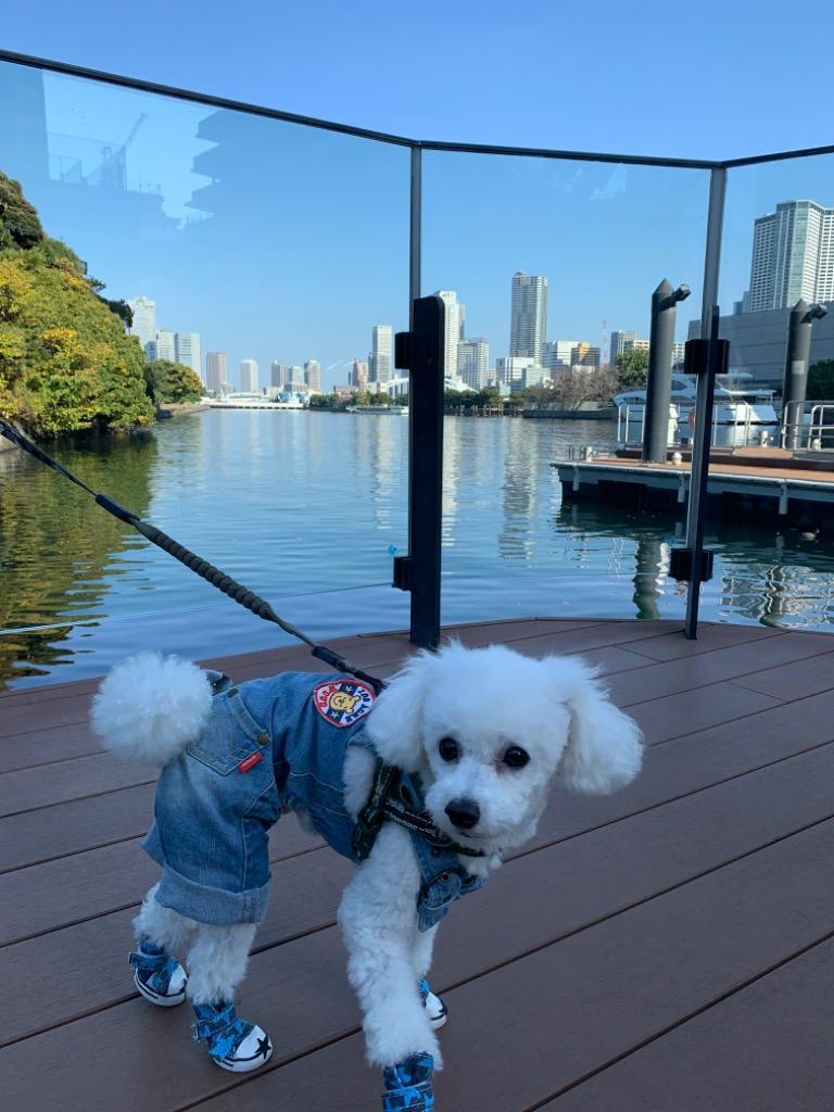 1件目のレビュー画像 | 0