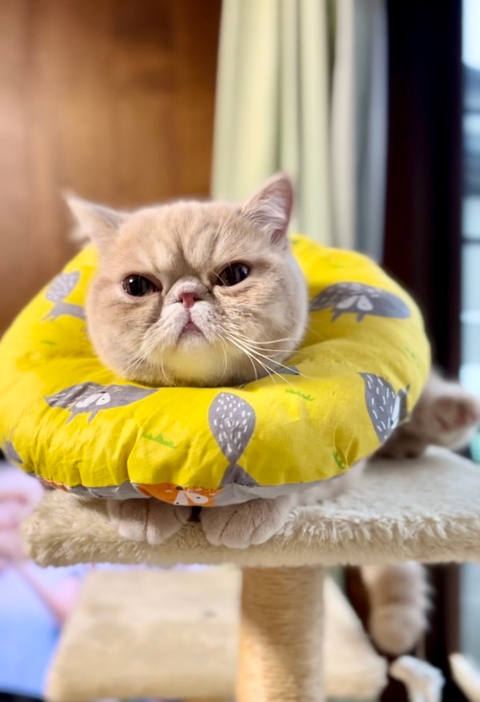 全体のレビュー画像 | 0-1