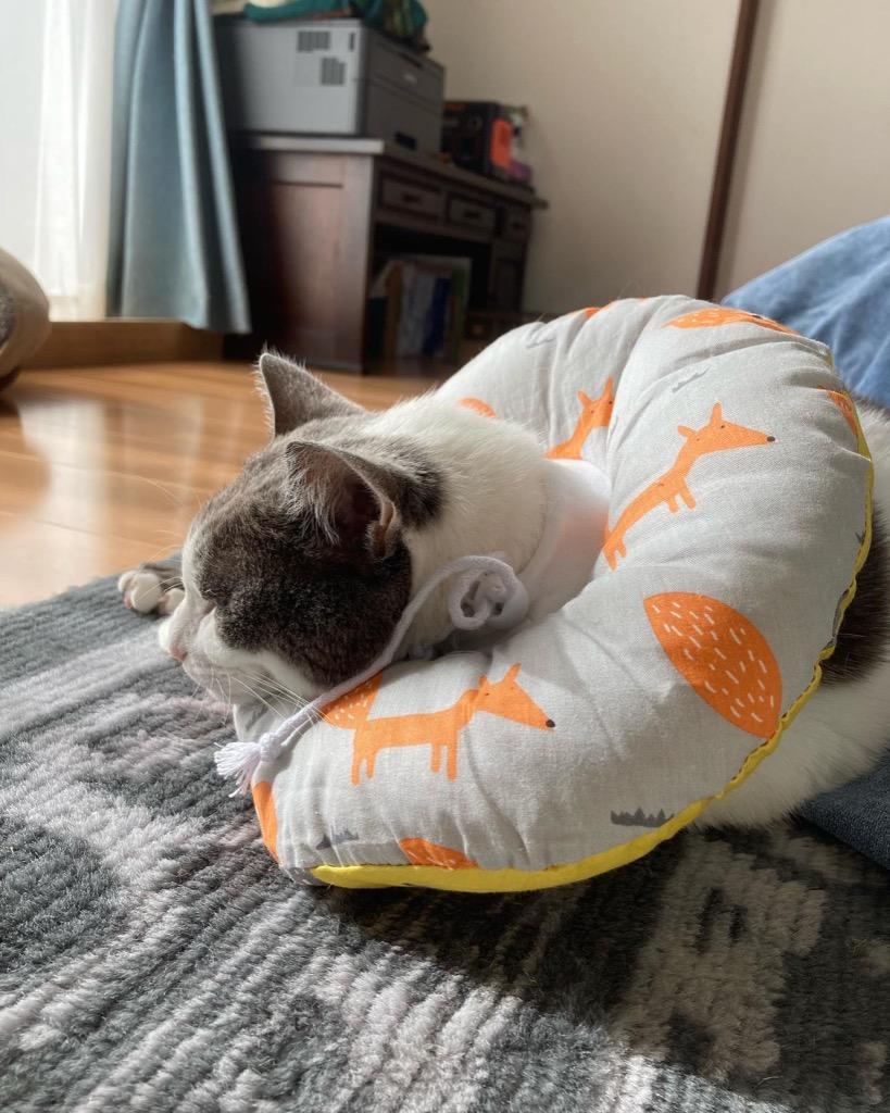 全体のレビュー画像 | 12-0