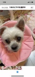 全体のレビュー画像 | 0-1