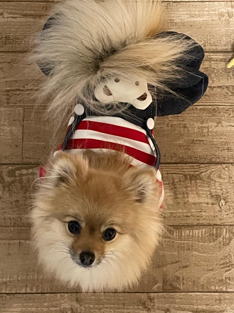 全体のレビュー画像 | 3-0