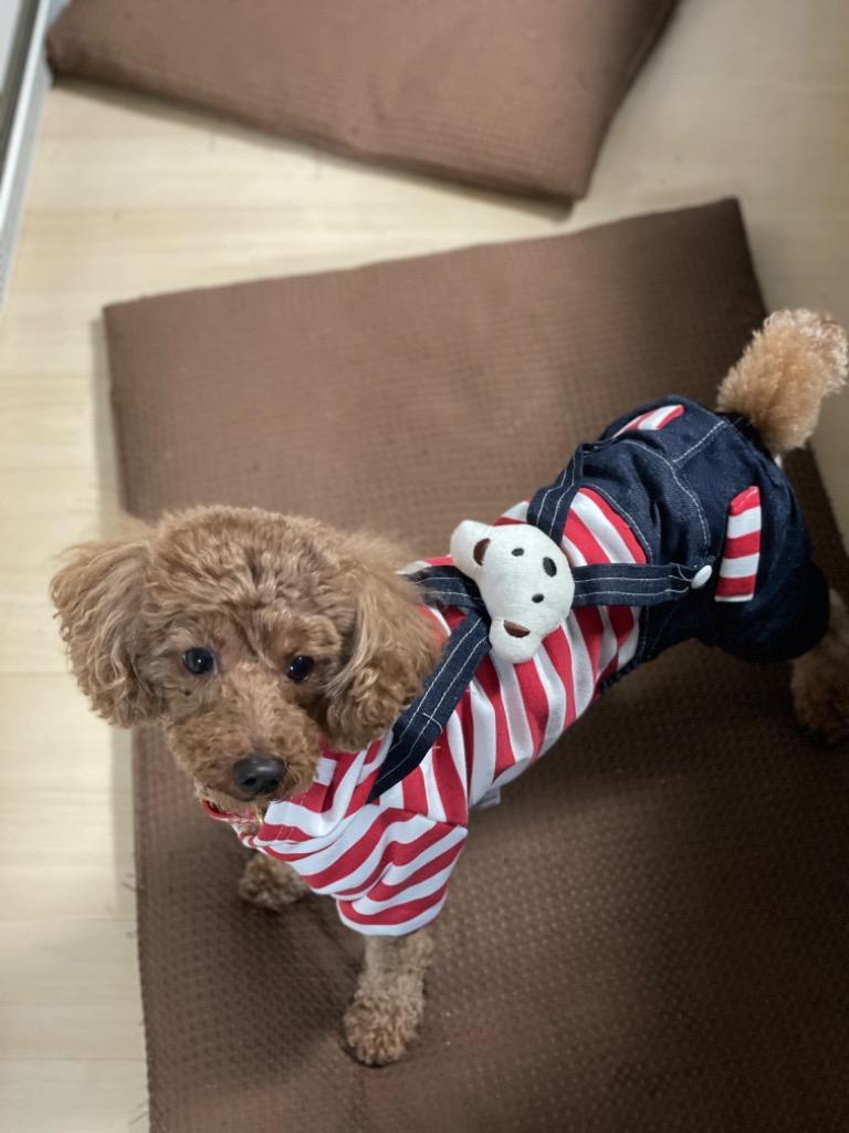 全体のレビュー画像 | 6-0