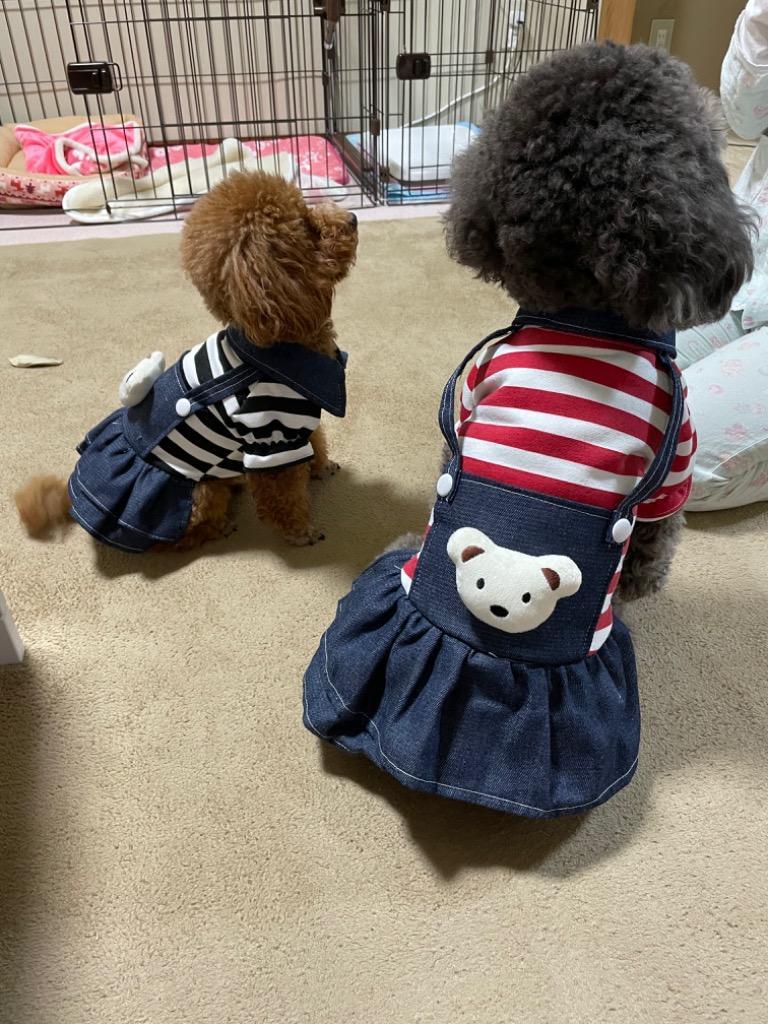 全体のレビュー画像 | 7-0