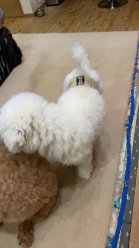 1件目のレビュー画像 | 0