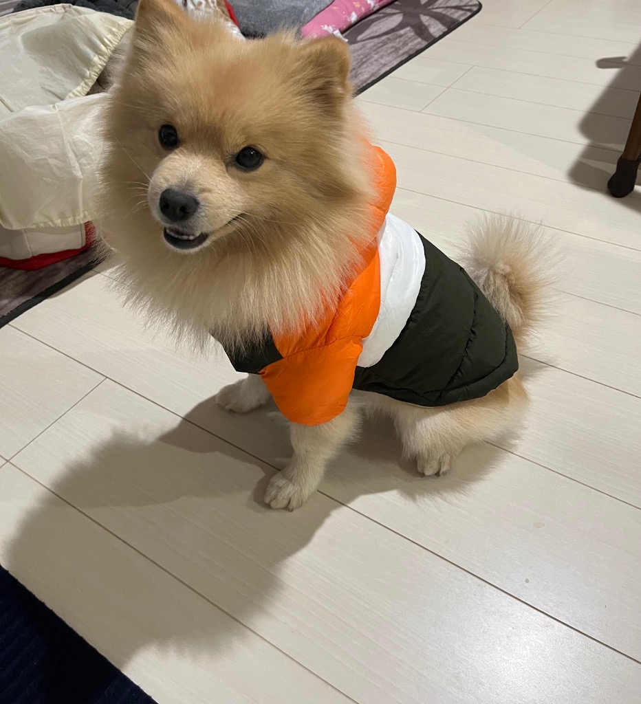 1件目のレビュー画像 | 1