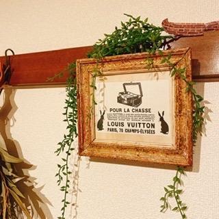 全体のレビュー画像 | 5-0