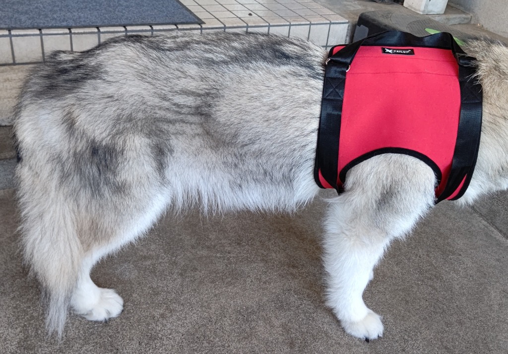 1件目のレビュー画像 | 0