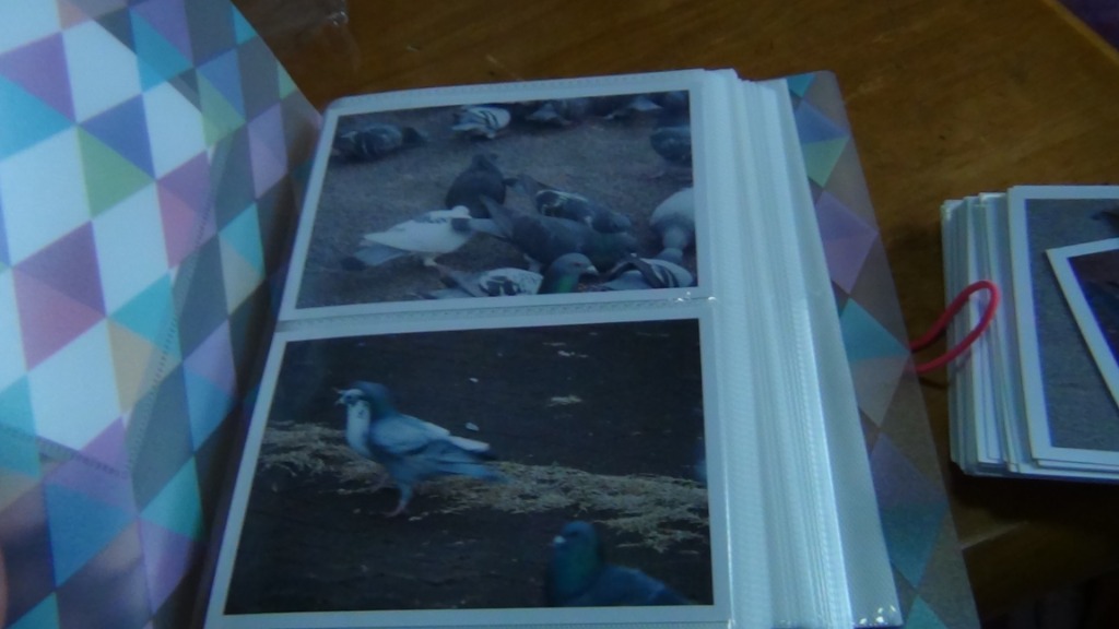 1件目のレビュー画像 | 2