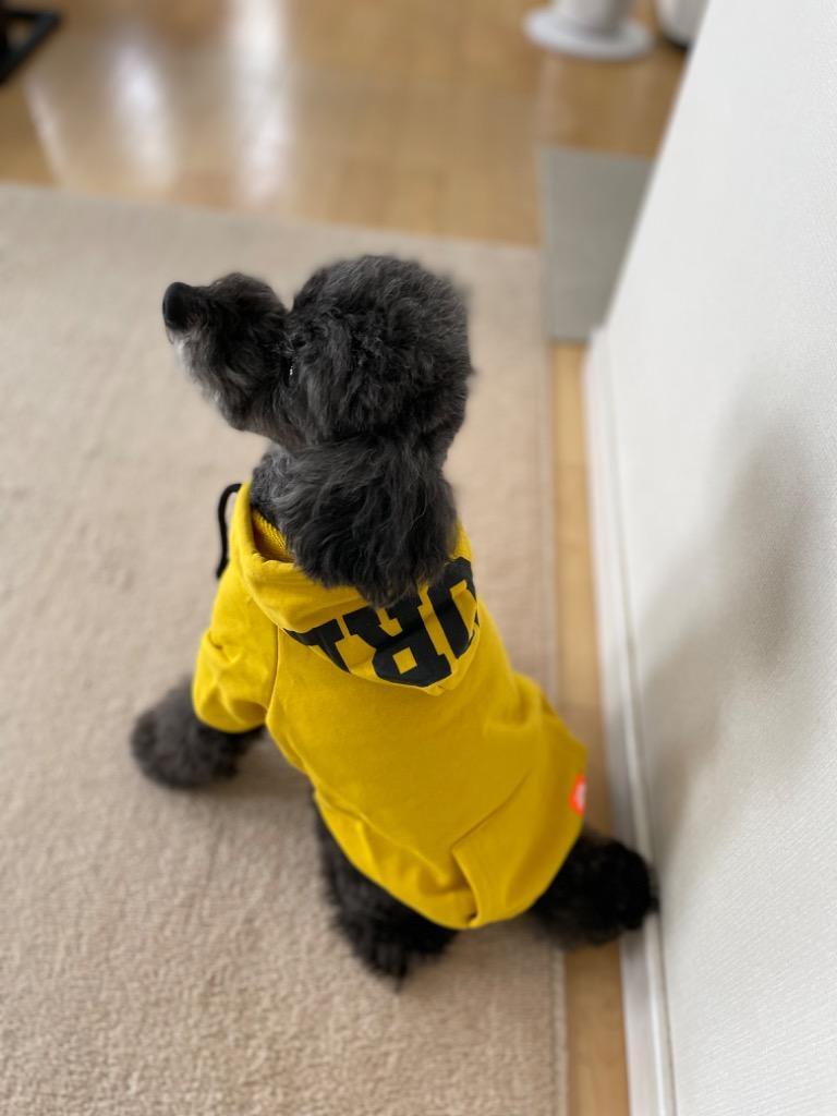 1件目のレビュー画像 | 1